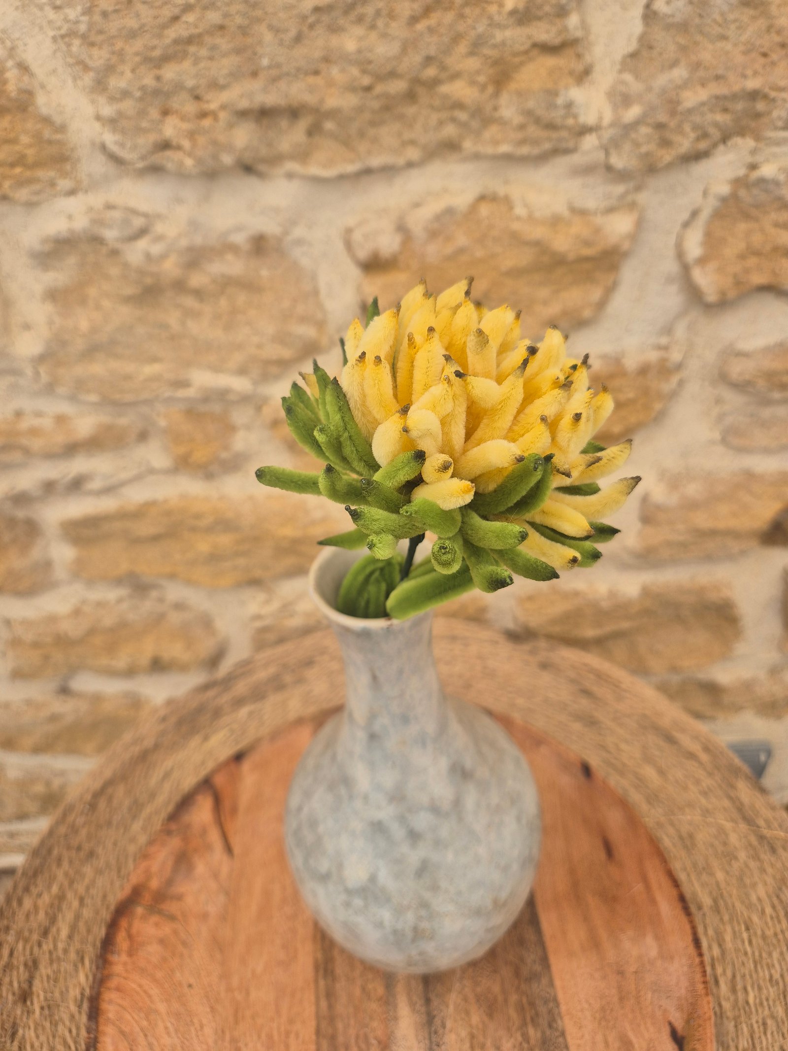 Chrysanthème jaune banane