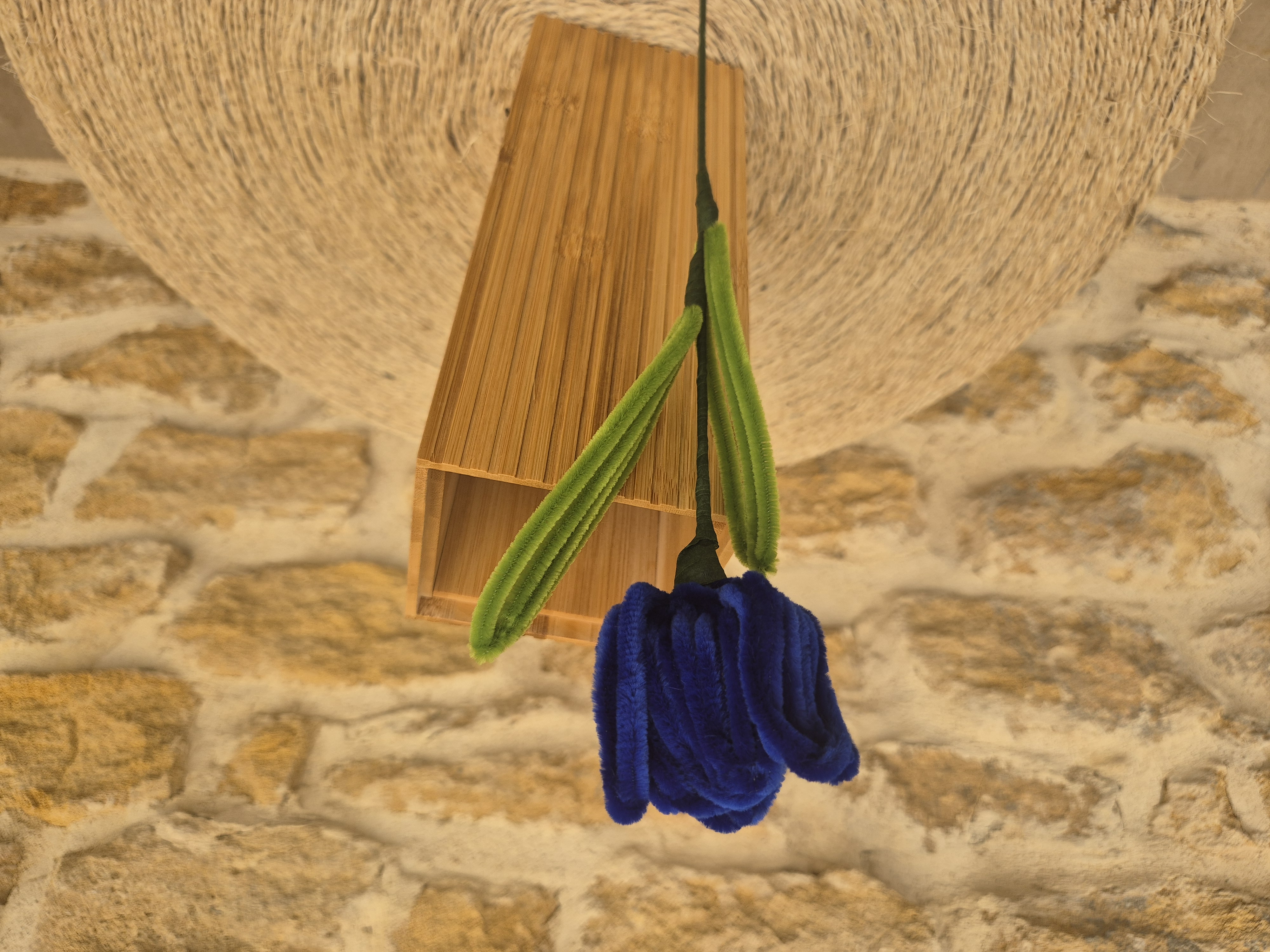 Tulipe cure pipe bleue foncée