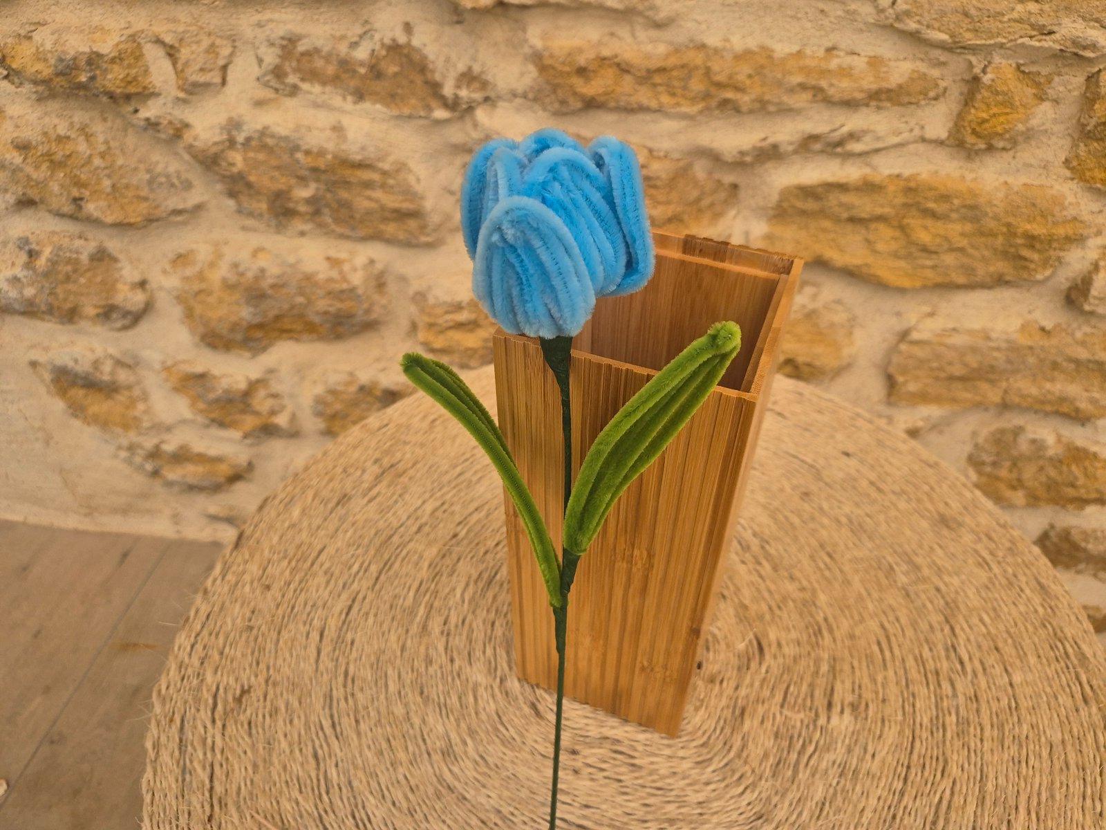 Les Tulipes