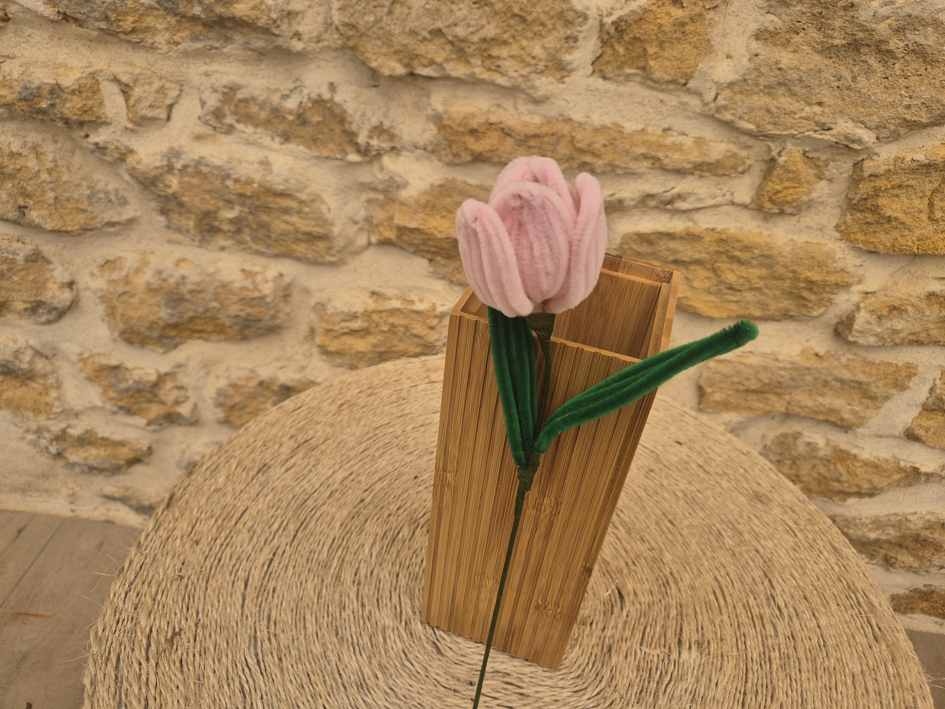 Tulipe cure pipe rose violet