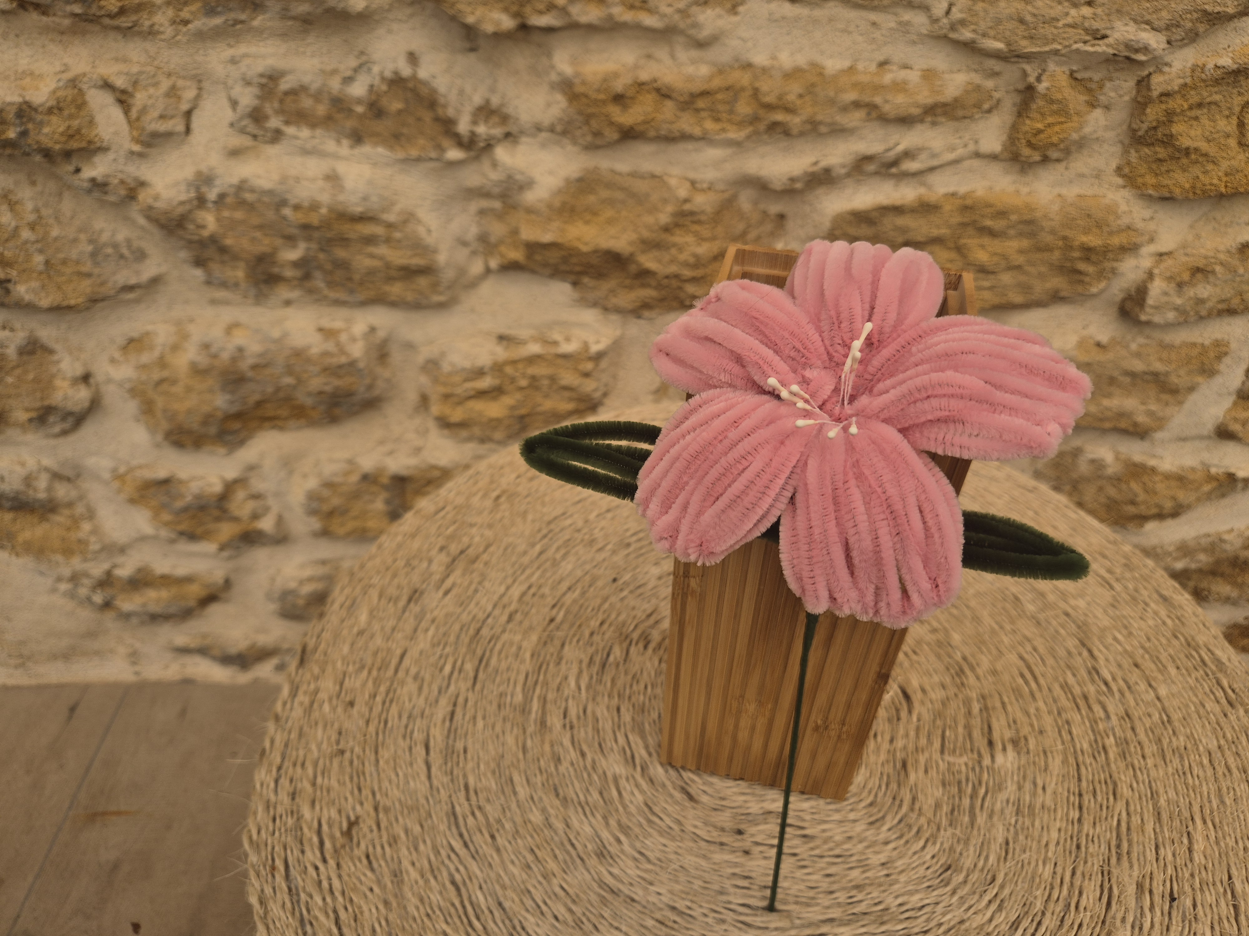 Lys cure pipe vieux rose pistilles blancs