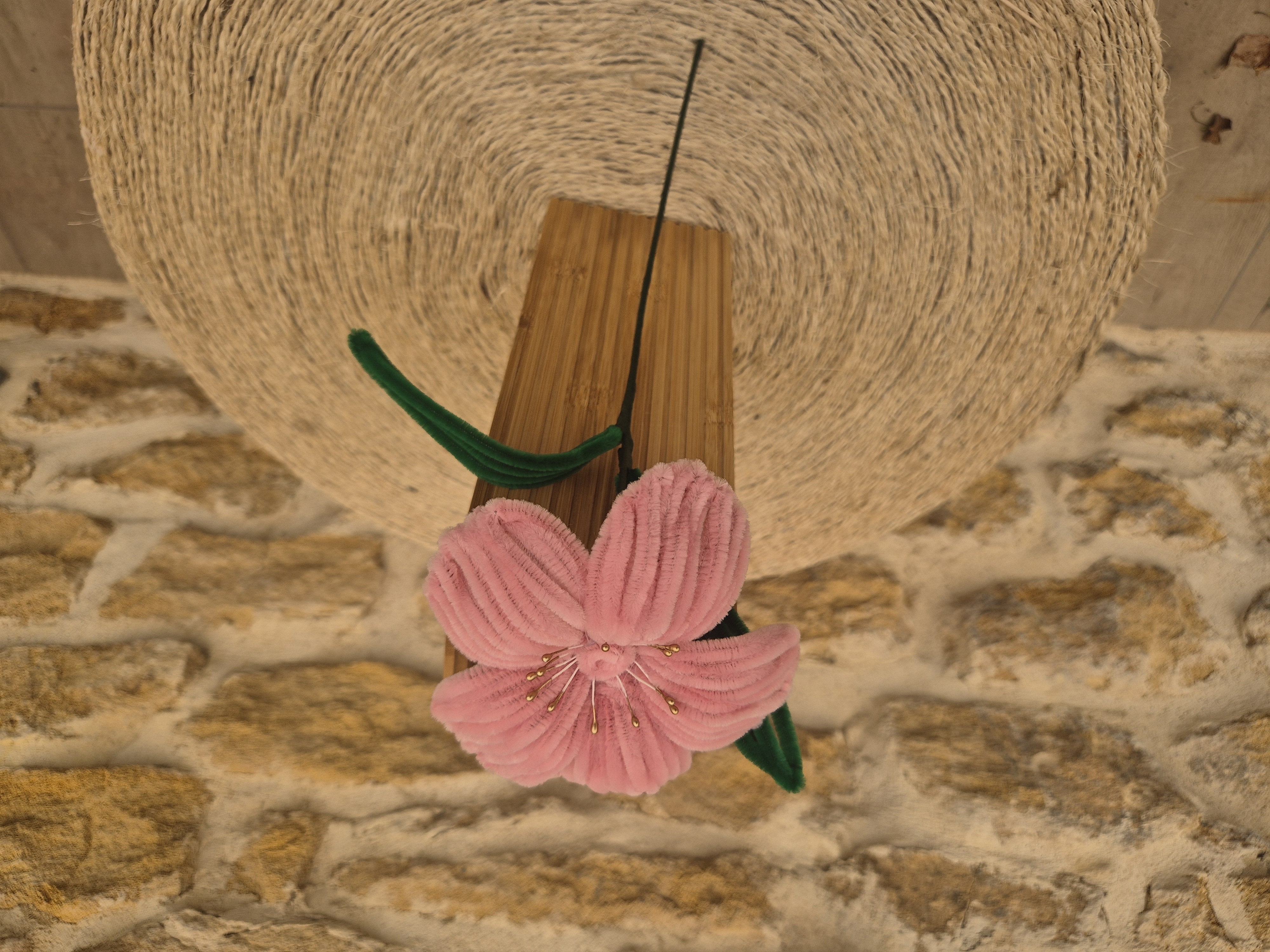 Lys cure pipe vieux rose pistilles dorés