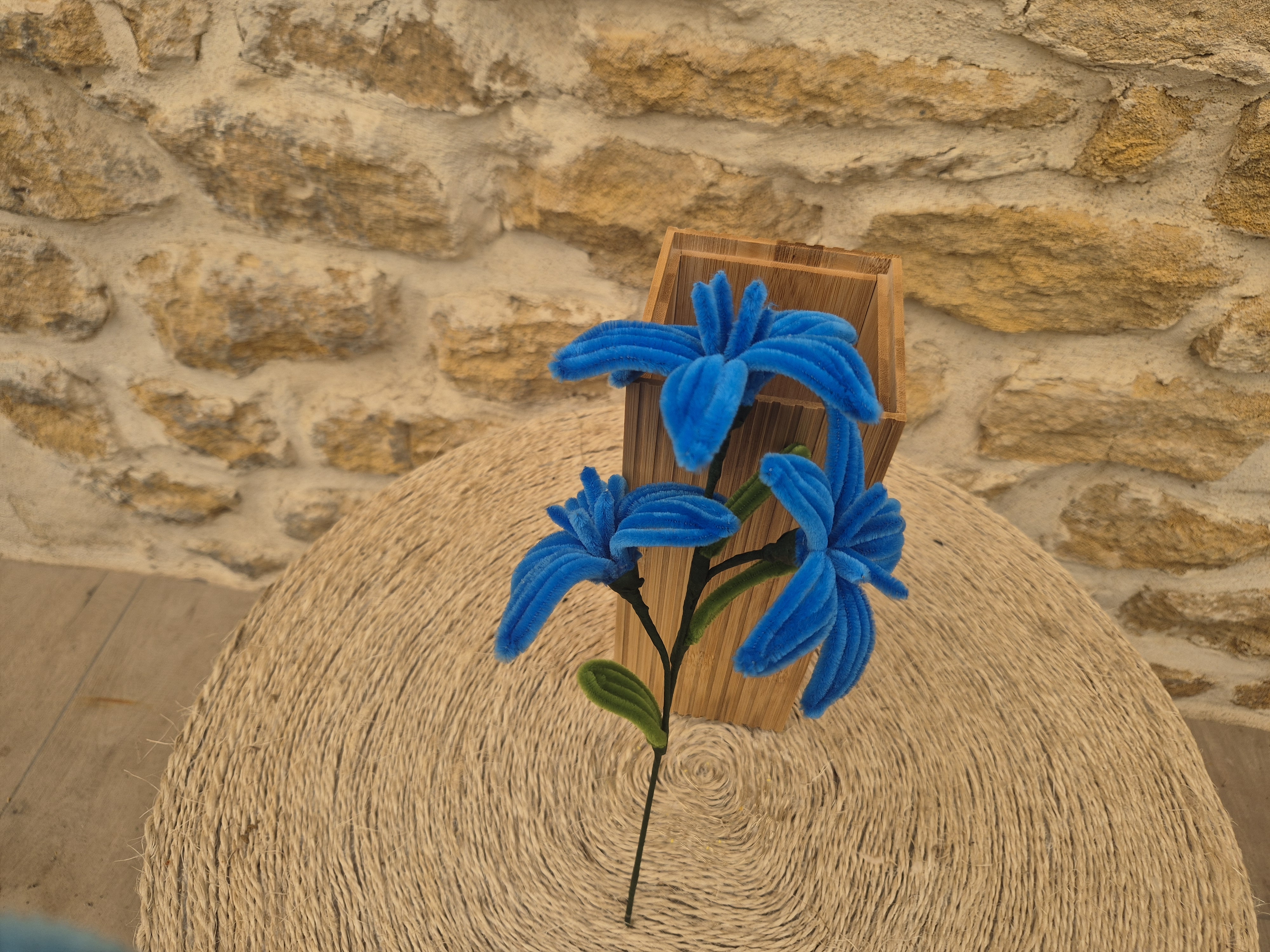 Lys 3 fleurs cure pipe bleue