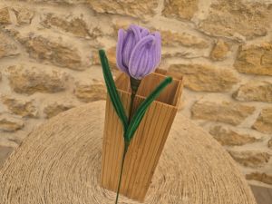 Tulipe cure pipe violette