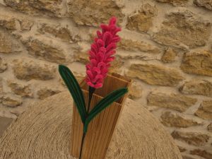 Lavande cure pipe rose foncé
